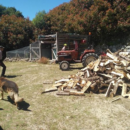 Chale Pouso Da Serra - Casas De Montanha Costilhao Dış mekan fotoğraf