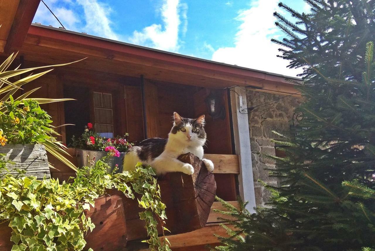 Chale Pouso Da Serra - Casas De Montanha Costilhao Dış mekan fotoğraf